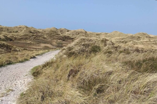 Foto van 8 persoons vakantie huis in Blåvand - Vakantiehuis in Blåvand - Untagged