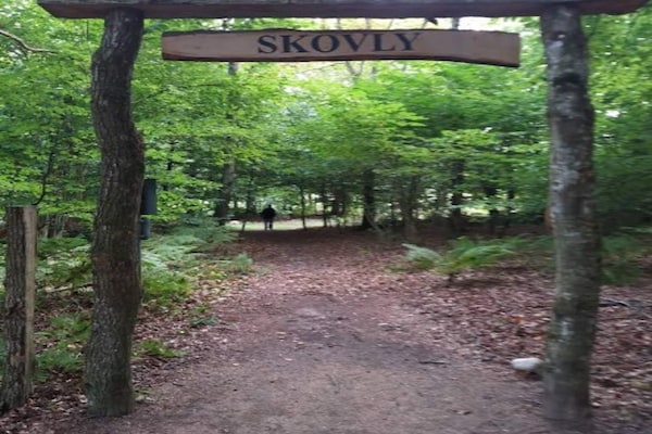 Foto van Afgelegen Bosretreat in Gjol-By Traum - Vakantiehuis in Aabybro - Outdoor