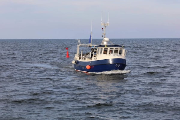 Foto van 10 persoons vakantie huis in Hadsund - Vakantiehuis in Hadsund - Untagged