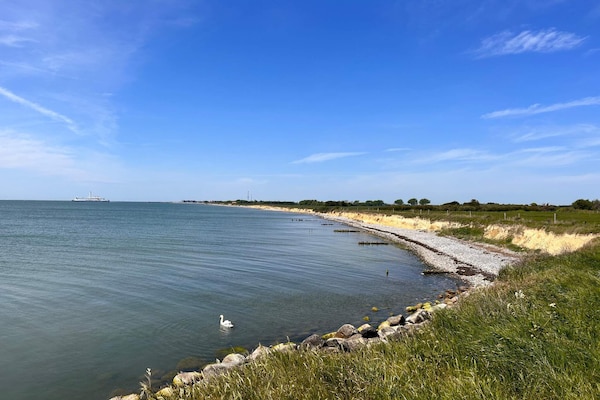 Foto van Idyllisch rietgedekt huisje-By Traum - Vakantiehuis in Gedser - WaterView
