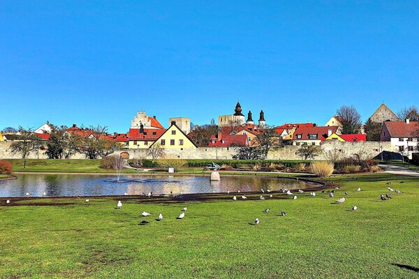 Foto van 4 persoons vakantie huis in GOTLANDS.TOFTA - Vakantiehuis in GOTLANDS.TOFTA - Untagged
