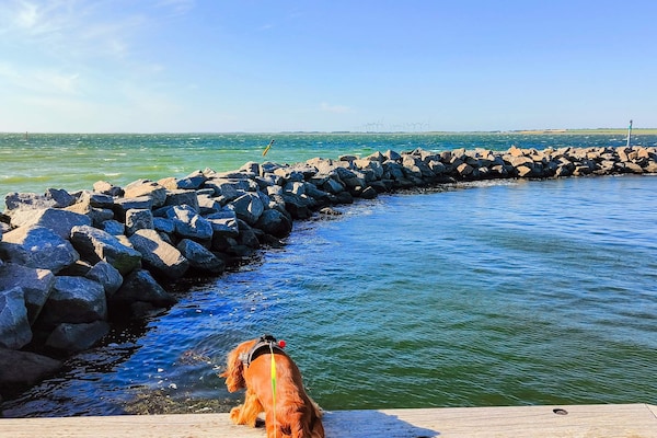 Foto van 5 persoons vakantie huis in Løgstør - Vakantiehuis in Løgstør - WaterView