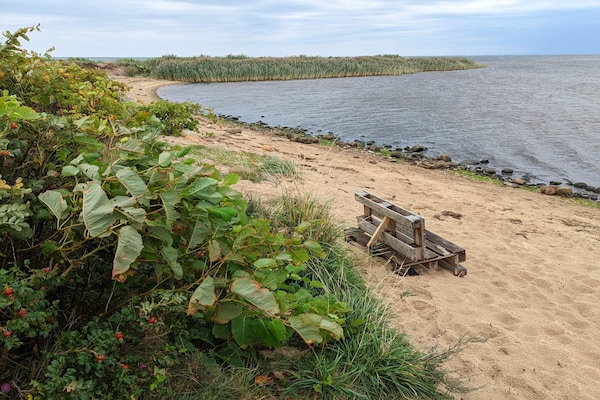 Foto van Afgelegen Gezellige Huisje in Skaven-By Traum - Vakantiehuis in Tarm - WaterView
