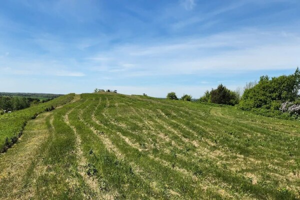 Foto van 6 persoons vakantie huis in Hadsund - Vakantiehuis in Hadsund - Untagged