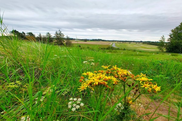 Foto van 6 persoons vakantie huis in Hadsund - Vakantiehuis in Hadsund - Untagged