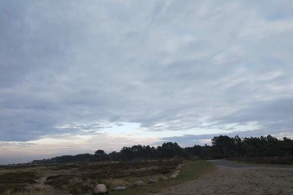 Foto van 4 persoons vakantie huis in Læsø - Vakantiehuis in Læsø - Untagged
