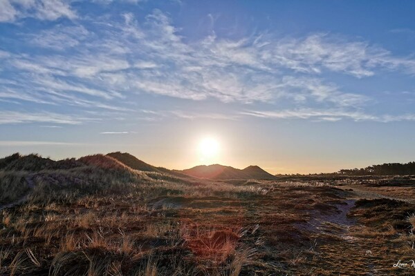 Foto van 4 persoons vakantie huis in Læsø - Vakantiehuis in Læsø - Untagged