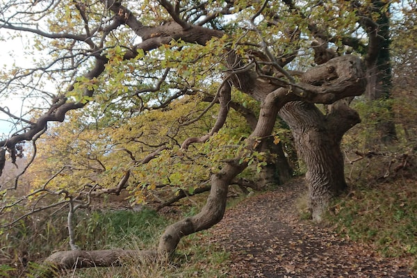 Foto van 6 persoons vakantie huis in Rude - Vakantiehuis in Rude - Untagged