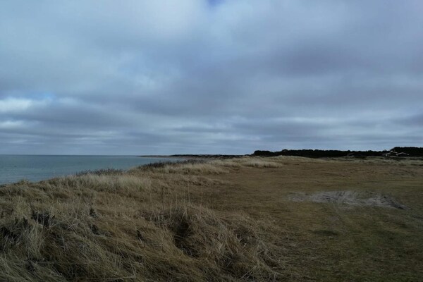 Foto van 5 persoons vakantie huis in Læsø - Vakantiehuis in Læsø - WaterView