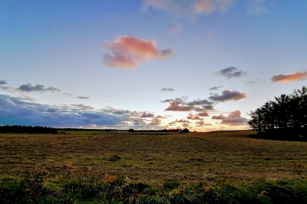 Foto van 6 persoons vakantie huis in Løkken - Vakantiehuis in Løkken - Untagged