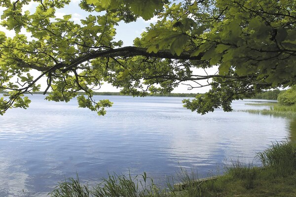 Foto van 8 persoons vakantie huis in Ansager - Vakantiehuis in Ansager - WaterView