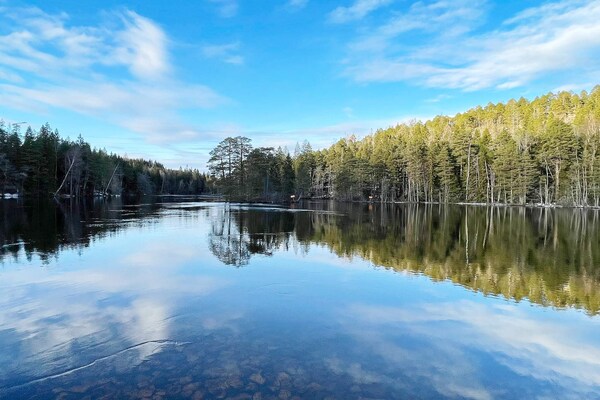 Foto van 5 persoons vakantie huis in BILLINGFORS-By Traum - Vakantiehuis in BILLINGFORS - Untagged