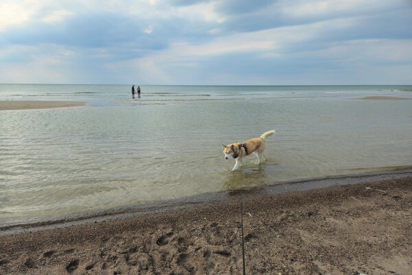 Foto van Luxe Spa-Retraite bij Zee -- By Traum Ferienwohnungen - WaterView
