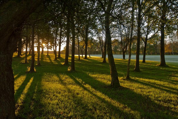 Foto van 4 persoons vakantie huis in Børkop-By Traum - Vakantiehuis in Børkop - Untagged