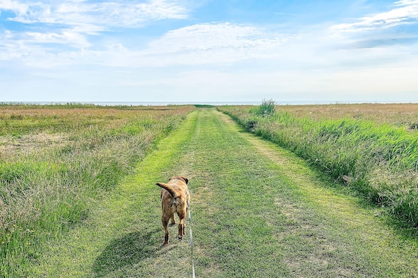 Foto van 8 persoons vakantie huis in Ørsted-By Traum - Vakantiehuis in Ørsted - WaterView