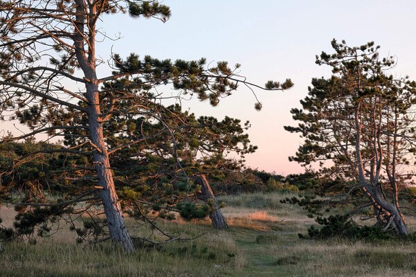 Foto van 8 persoons vakantie huis in Melby-By Traum - Vakantiehuis in Melby - Untagged