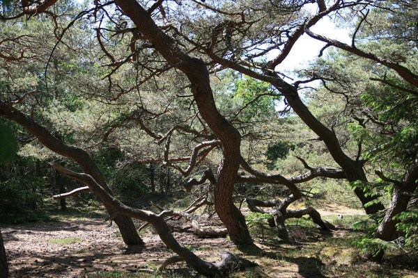 Foto van 8 persoons vakantie huis in Melby-By Traum - Vakantiehuis in Melby - Untagged