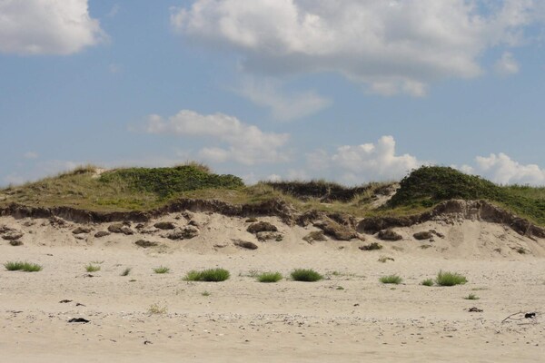 Foto van 8 persoons vakantie huis in Melby-By Traum - Vakantiehuis in Melby - Untagged