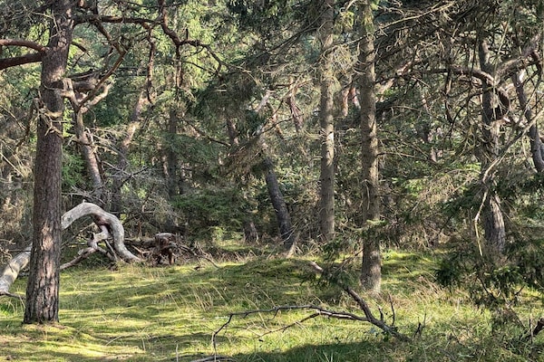 Foto van 8 persoons vakantie huis in Melby-By Traum - Vakantiehuis in Melby - Untagged