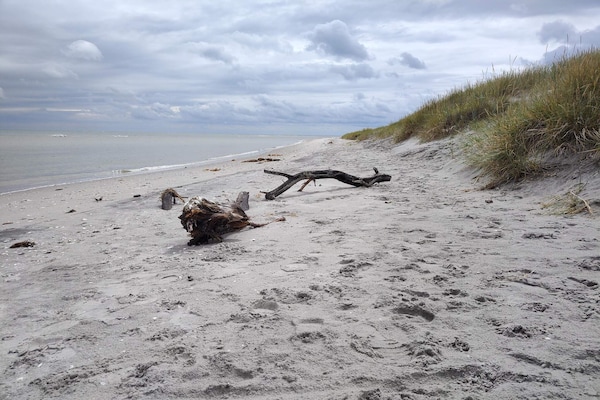 Foto van 6 persoons vakantie huis in Sæby-By Traum - Vakantiehuis in Sæby - WaterView