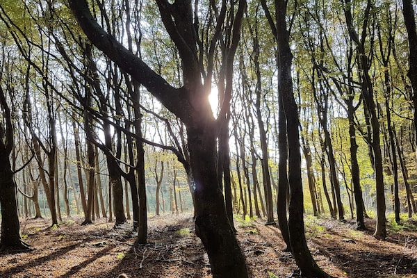 Foto van Panoramisch zeezicht -- By Traum Ferienwohnungen - Vakantiehuis in Blokhus - Untagged