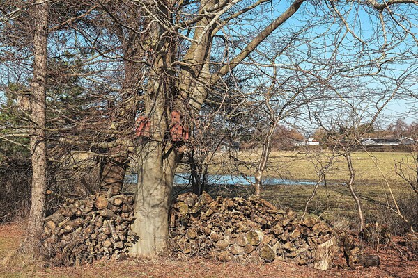 Foto van 6 persoons vakantie huis in Karrebæksminde - Vakantiehuis in Karrebæksminde - View