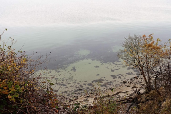 Foto van 6 persoons vakantiehuis - By Traum - Vakantiehuis in Augustenborg - Untagged