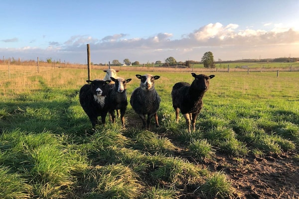 Foto van 4 persoons vakantie huis in Skibby-By Traum - Vakantiehuis in Skibby - Untagged