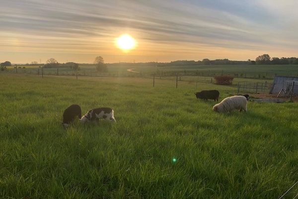 Foto van 4 persoons vakantie huis in Skibby-By Traum - Vakantiehuis in Skibby - Untagged