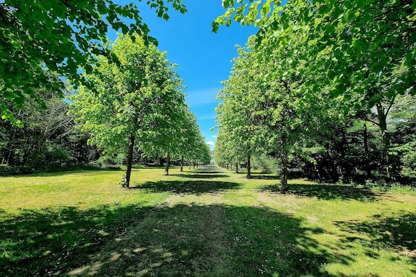 Foto van 4 persoons vakantie huis in Skibby-By Traum - Vakantiehuis in Skibby - Untagged