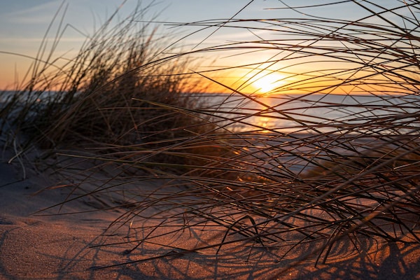 Foto van 6 persoons vakantie huis in Blokhus - Vakantiehuis in Blokhus - Untagged