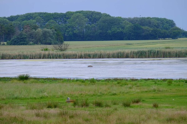 Foto van Luxe retraite in Marielyst -- By Traum Ferienwohnungen - WaterView