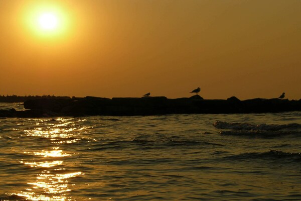 Foto van Strandparadijs in Snogebaek -- By Traum Ferienwohnungen - Untagged