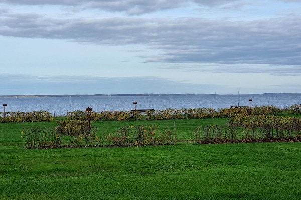 Foto van 4 persoons vakantie huis in Hejls-By Traum - Vakantiehuis in Hejls - WaterView