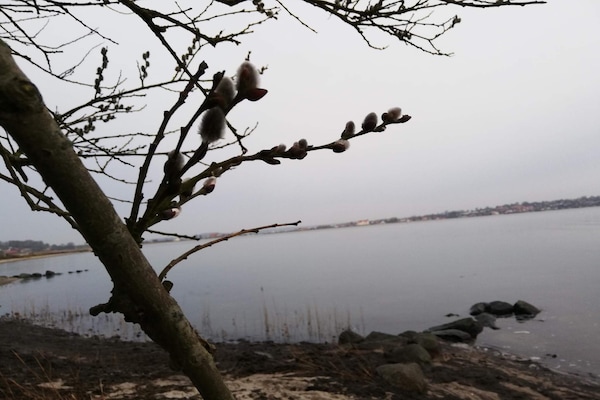 Foto van 4 persoons vakantie huis in Hejls-By Traum - Vakantiehuis in Hejls - WaterView