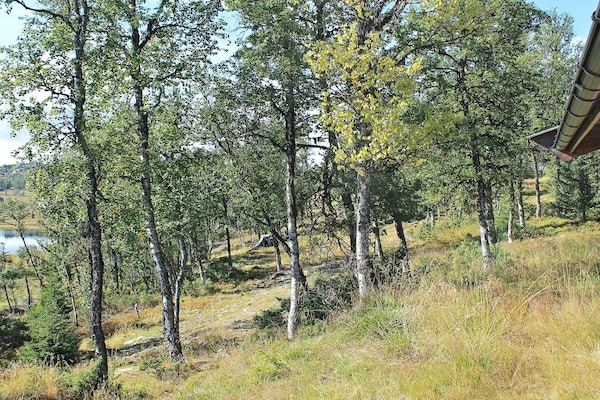 Foto van 6 persoons vakantie huis in NESBYEN-By Traum - Vakantiehuis in NESBYEN - WaterView