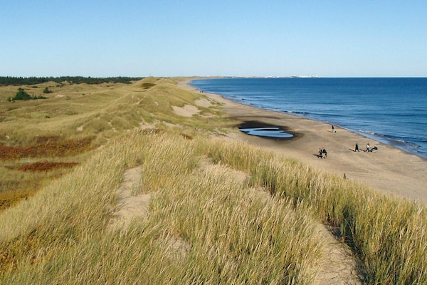 Foto van 8 persoons vakantie huis in Ålbæk-By Traum - Vakantiehuis in Ålbæk - View