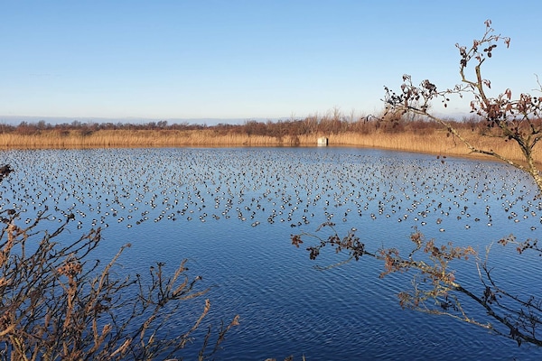 Foto van Luxe panoramisch uitzicht -- By Traum Ferienwohnungen - WaterView