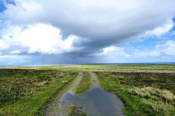 Foto van 8 persoons vakantie huis in Lemvig-By Traum - Vakantiehuis in Lemvig - Untagged