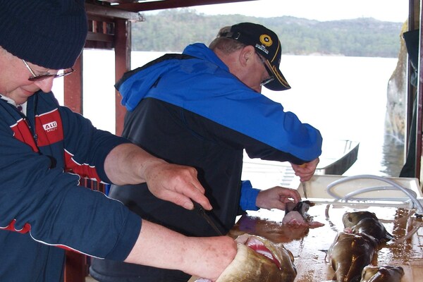 Foto van 10 persoons vakantie huis in HOSTELAND-By Traum - Vakantiehuis in Hosteland - Untagged