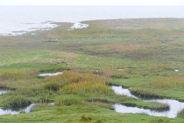 Foto van 6 persoons vakantie huis in Rømø-By Traum - Vakantiehuis in Rømø - WaterView