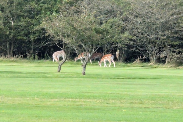 Foto van Kust ontsnapping in Ho Bay -- By Traum Ferienwohnungen - Untagged