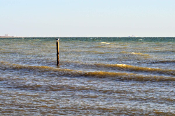 Foto van 8 persoons vakantie huis in Rødby-By Traum - Vakantiehuis in Rødby - WaterView