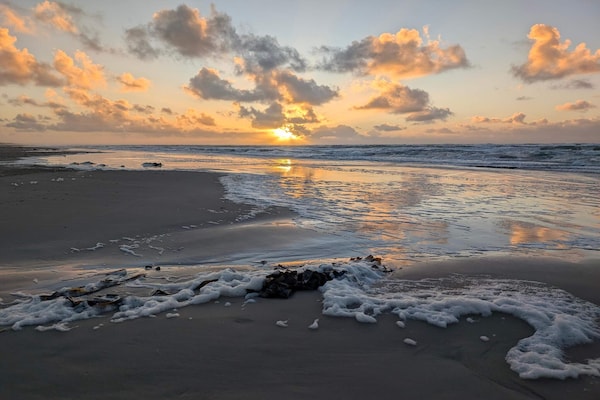 Foto van Luxe strandhuis in Blokhus - Vakantiehuis in Blokhus - WaterView