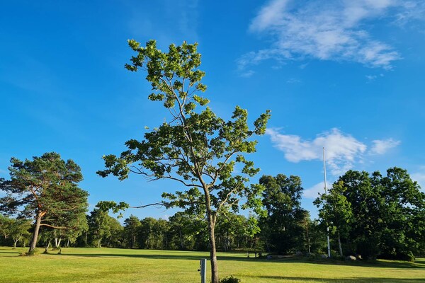 Foto van 8 persoons vakantie huis in Hadsund-By Traum - Vakantiehuis in Hadsund - Untagged