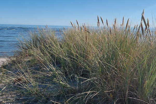 Foto van 7 persoons vakantie huis in Hals-By Traum - Vakantiehuis in Hals - Untagged