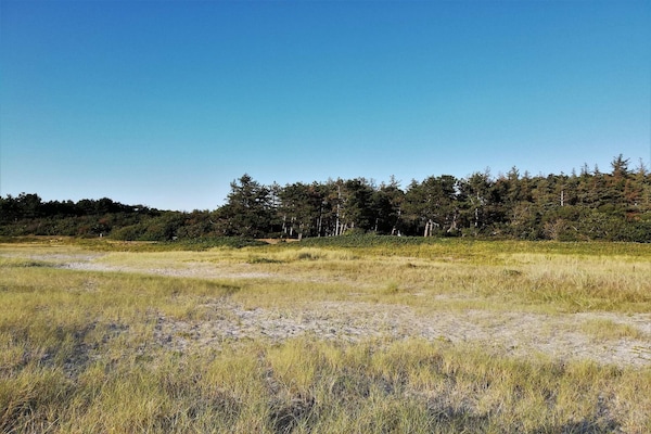 Foto van 8 persoons vakantie huis in Ebeltoft-By Traum - Vakantiehuis in Ebeltoft - Untagged