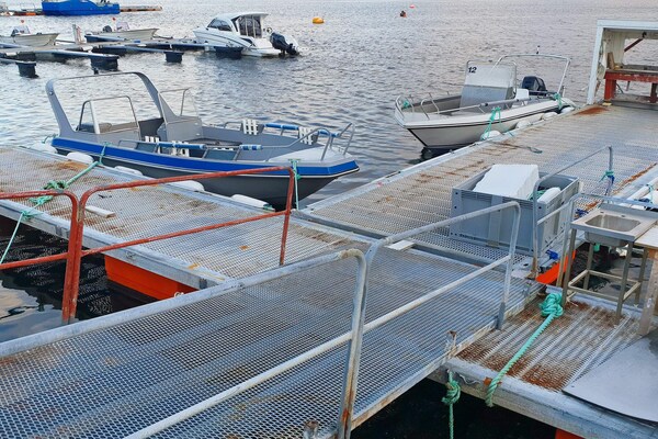 Foto van 6 persoons vakantie huis in Oksvoll-By Traum - Vakantiehuis in Oksvoll - Untagged