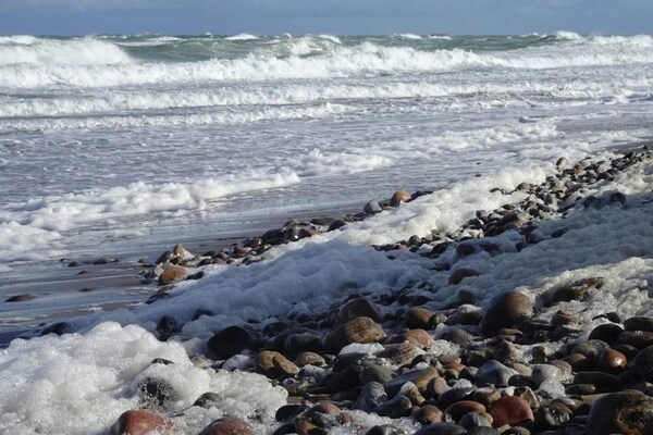 Foto van 8 persoons vakantie huis in Gilleleje-By Traum - Vakantiehuis in Gilleleje - WaterView