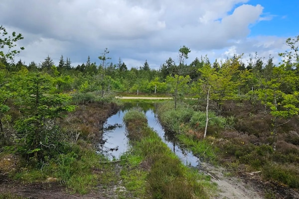 Foto van Gerenooveerde retraite met zwembad -- By Traum Ferienwohnungen - WaterView